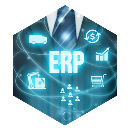 erp-based-system.png